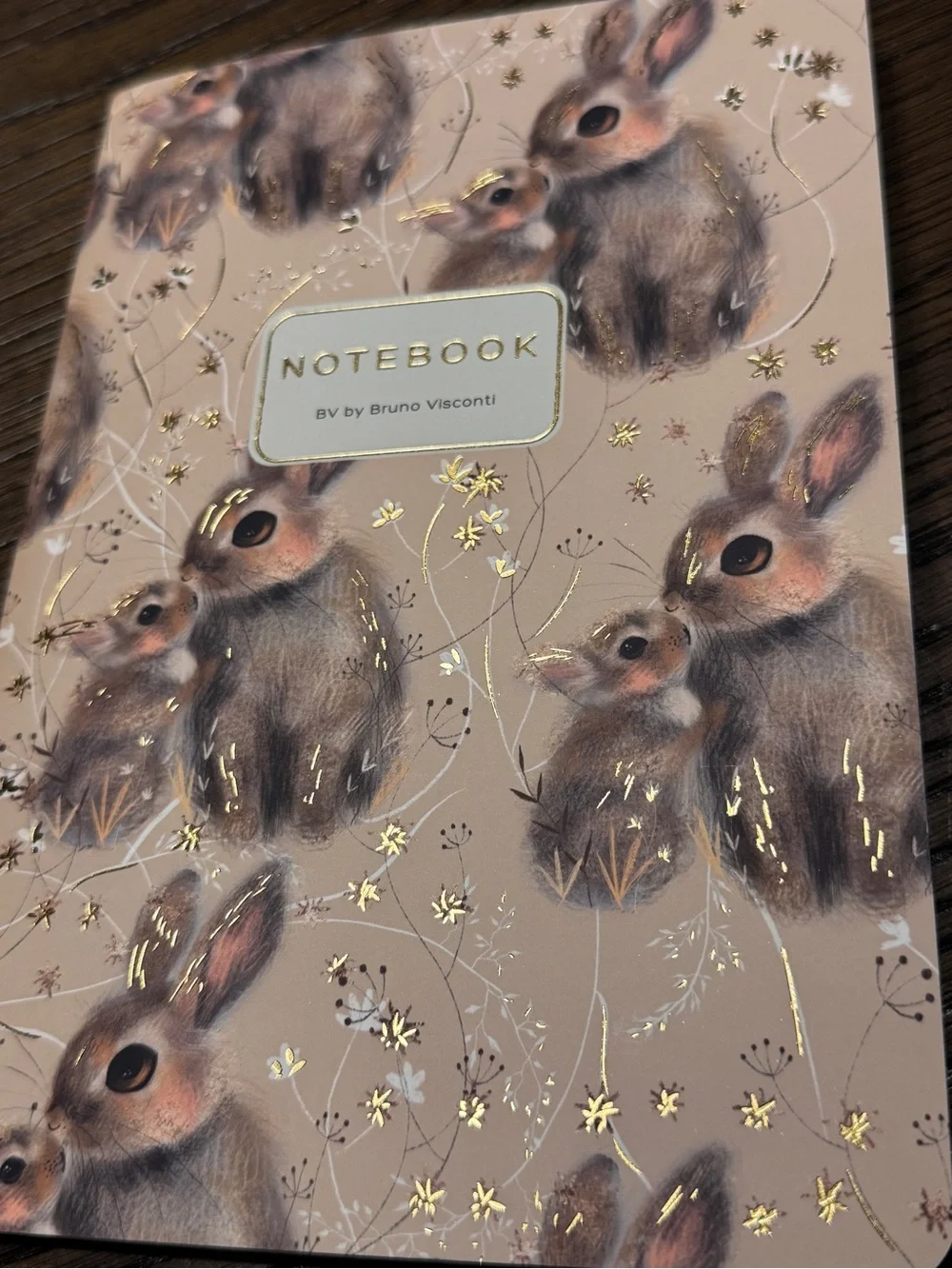 3 for $15 Bruno Visconti Soft Touch Baby Bunny and Mother Journal A5 NEW